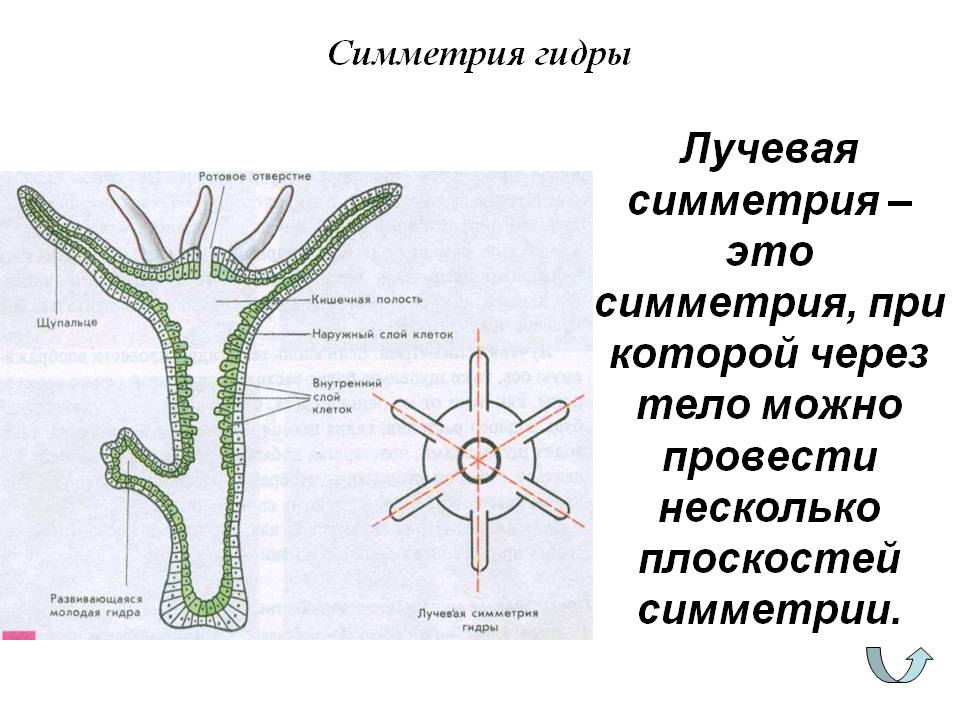Кракен даркнет стор