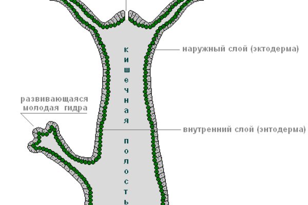 Кракен ссылка призыва нет