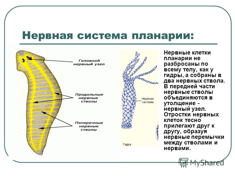 Ссылка кракен не работает
