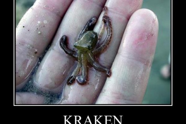 Зайти кракен через тор