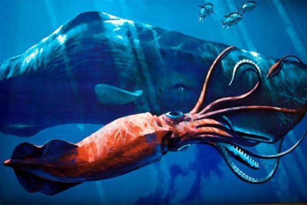 Ссылка кракен kraken torion net