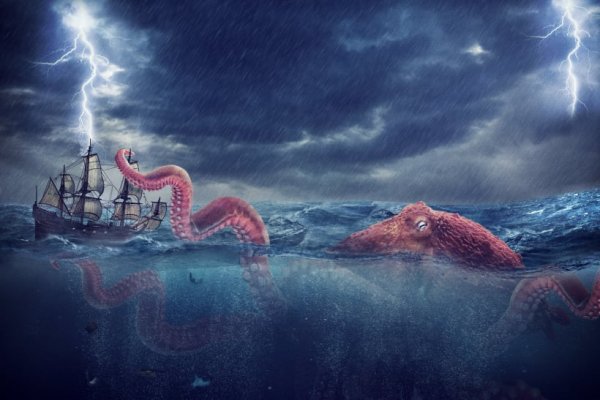 Kraken 19at