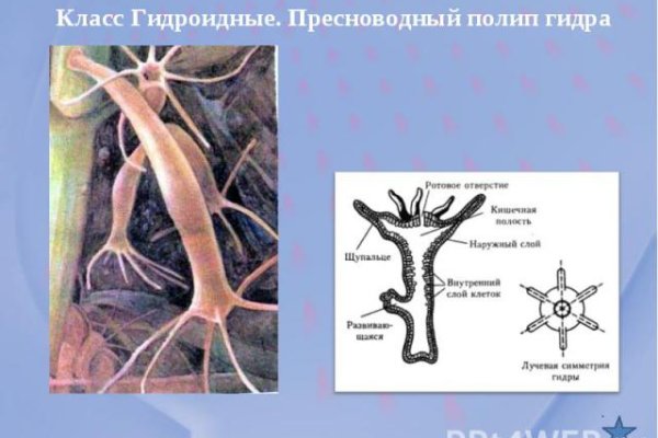 Кракен зеркало рабочее на сегодня