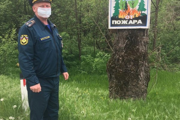 Даркнет вход