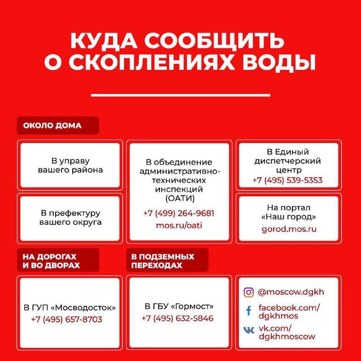 Кракен маркетплейс ссылка телеграмм
