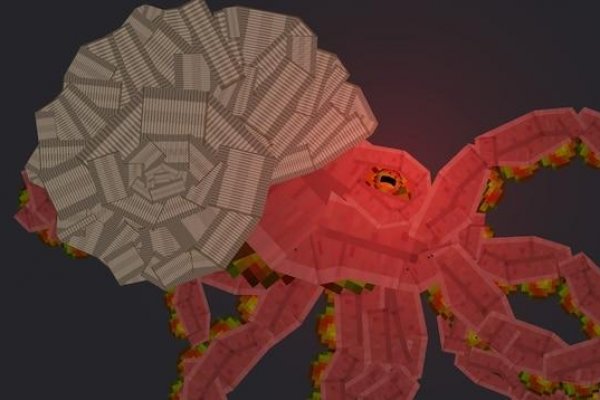 Kraken russia